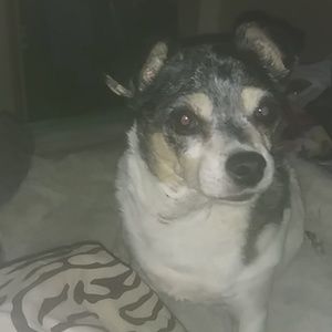 Meet your Posher, Renate